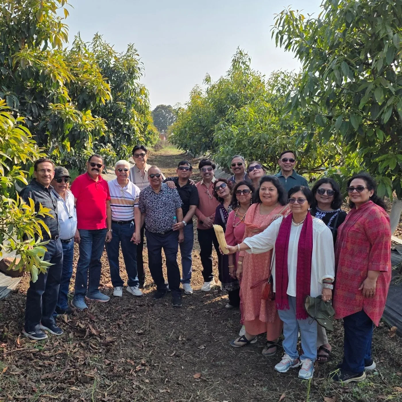 Visit the orchard